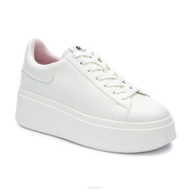 ash scarpe saldi Transportation and Logistics Company News